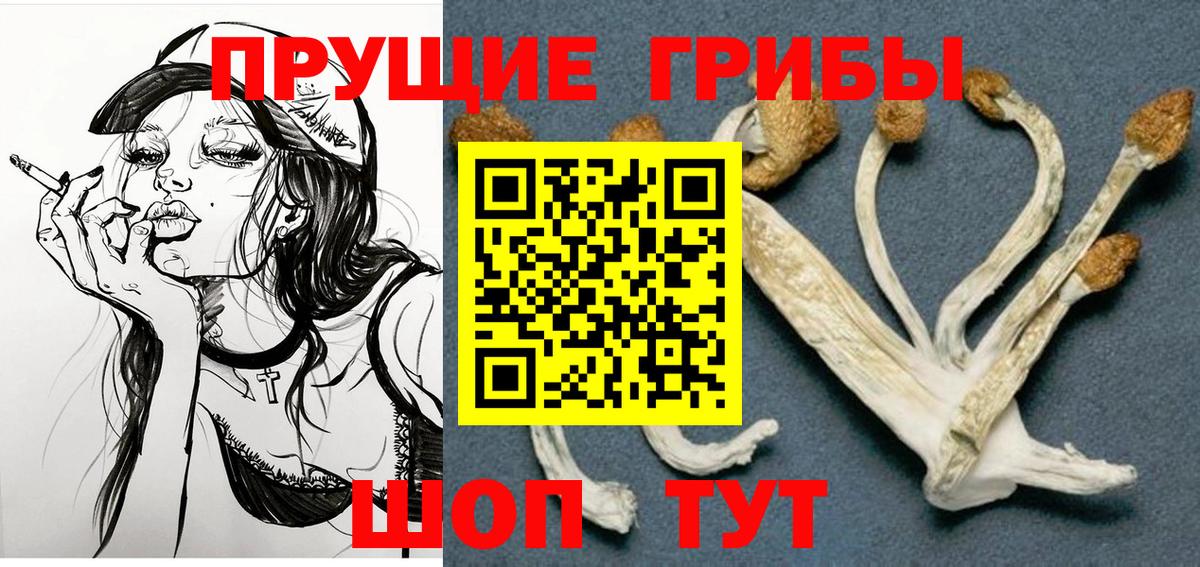 Галлюциногенные грибы Cubensis  Вход с VPN  Электрогорск 